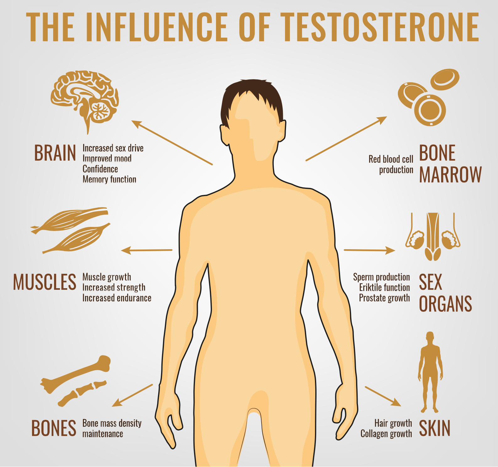 Testosterone Pellets for Men